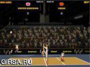 Флеш игра онлайн 2012 BunnyLimpics Volleyball