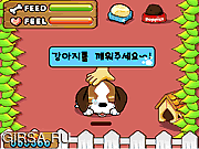 Флеш игра онлайн Dog Sitter