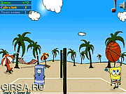 Флеш игра онлайн Beach Volleyball-Game