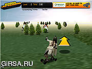 Флеш игра онлайн Bearded Ladyboarding