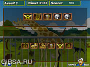 Флеш игра онлайн Brain Power - Zoo