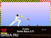 Флеш игра онлайн Cricket