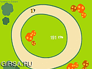 Флеш игра онлайн Hamster Race
