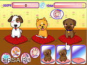 Флеш игра онлайн Puppies Salon