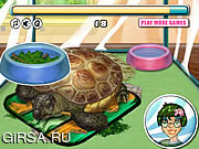Флеш игра онлайн Turtle Care