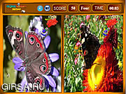 Флеш игра онлайн Butterfly Similarities