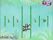 Флеш игра онлайн Jungle Spider Monkey