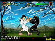 Флеш игра онлайн Karate Kamil vs Ninja Nejat