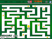 Флеш игра онлайн Night Rat Maze
