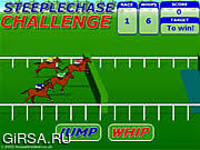 Флеш игра онлайн Steeplechase Challenge