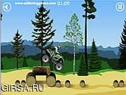 Флеш игра онлайн Stunt Dirt Bike