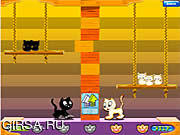 Флеш игра онлайн Swing Cat