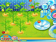 Флеш игра онлайн Sue Tomato Factory