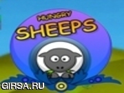 Флеш игра онлайн Hungry Sheeps