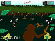 Флеш игра онлайн Опасные страусы
