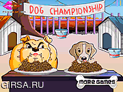 Флеш игра онлайн Dog Championship