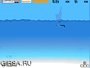 Флеш игра онлайн Dolphin Tag
