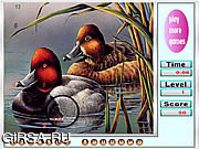 Флеш игра онлайн Fabulous Ducks скрытых номеров