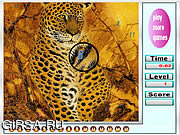Флеш игра онлайн Восхитительные тигры / Fabulous tigers hidden numbers
