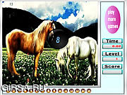 Флеш игра онлайн Фантастический лошадей скрытые номера