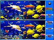 Флеш игра онлайн Рыба - Найти отличия / Fish Spot the Difference