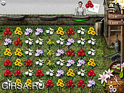 Флеш игра онлайн Мания цветка