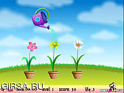 Флеш игра онлайн Поливка цветов / Flower Watering