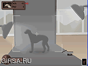 Флеш игра онлайн Greyhound Tycoon