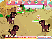 Флеш игра онлайн Horse Farm Assistant