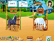 Флеш игра онлайн Забота о лошадях