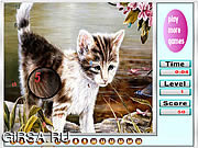 Флеш игра онлайн Меланхолические кошки скрытые номера / Melancholic cats hidden numbers