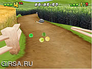 Флеш игра онлайн Мяч / Melon Dash