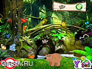 Флеш игра онлайн My Jungle