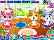 Флеш игра онлайн Pet Shop Caring