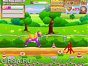 Флеш игра онлайн Гонка пони
