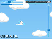 Флеш игра онлайн Полет чайки