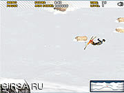 Флеш игра онлайн Ski Sim