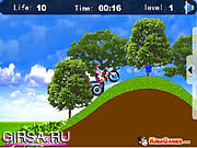 Флеш игра онлайн Мотовелосипед эффектного выступления / Stunt Motorbike