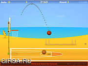 Флеш игра онлайн Летний баскетбол