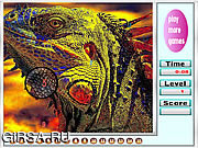 Флеш игра онлайн Разноцветные ягуаны. Скрытые числа / Wild Colorful Iguanas hidden numbers