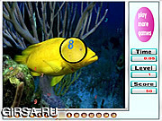 Флеш игра онлайн Милые рыбки. Скрытые цифры