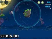 Флеш игра онлайн Злые космические птицы / Angry Birds Space HD