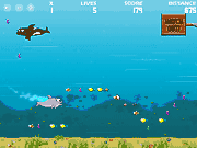 Флеш игра онлайн Большой Жирный Дельфин