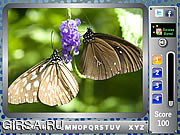 Флеш игра онлайн Бабочка - Найти алфавитов / Butterfly - Find the Alphabets