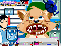 Флеш игра онлайн Лечение зубов кота