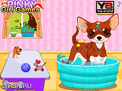 Флеш игра онлайн Чихуахуа Щенок Уход Игра / Chihuahua Puppy Care Game