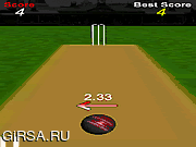 Флеш игра онлайн Крикет Лихорадка Мяч / Cricket  Ball Fever