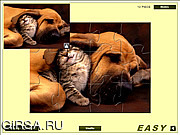 Флеш игра онлайн Кошка и Собака / Cute Cat And Dog 