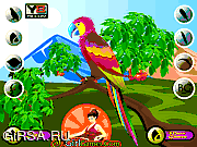 Флеш игра онлайн Декор милого попугая / Decor the Cute Parrot