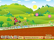 Флеш игра онлайн Дора и цветы / Dora Stunts 
